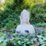 CASA DE CAMPO  <br><h5 style="color:#983295;">Precio $230.000</h5>