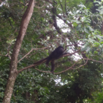 CASA DE CAMPO  <br><h5 style="color:#983295;">Precio $230.000</h5>