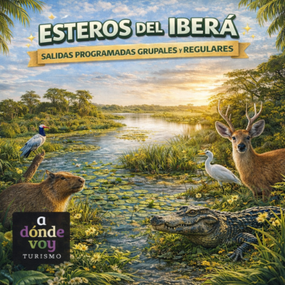ESTEROS DEL IBERÁ  <br><h5 style="color:#983295;">Precio $105.000</h5>